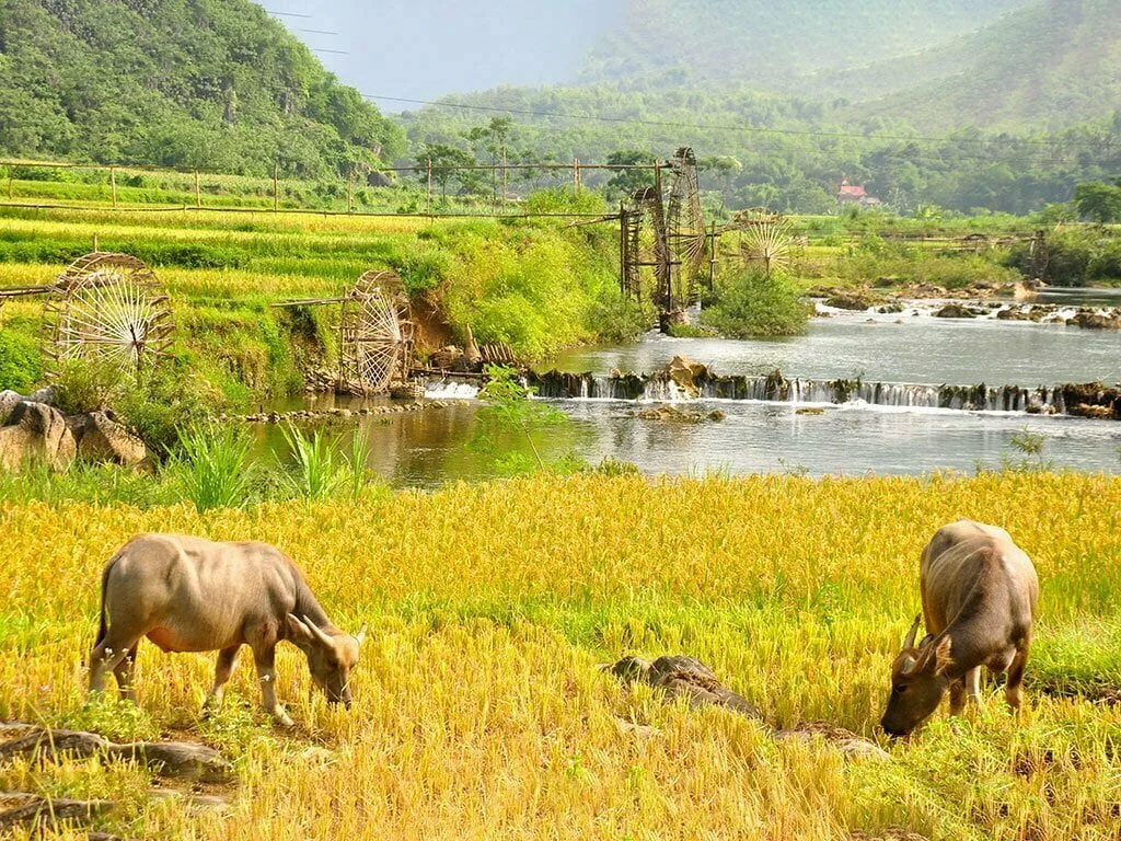 ma-river-pu-luong ma-river-pu-luong