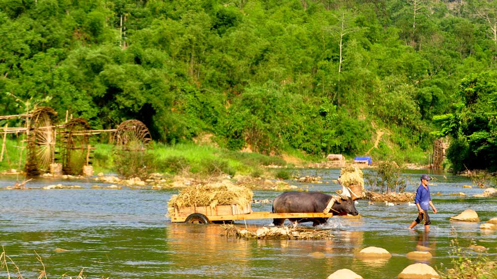 Water wheels on Cham River