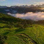 paddy-fields-in-pu-luong-nature-reserve