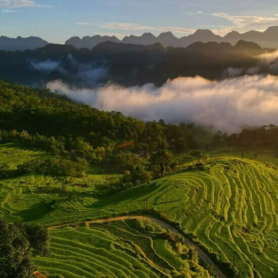 paddy-fields-in-pu-luong-nature-reserve