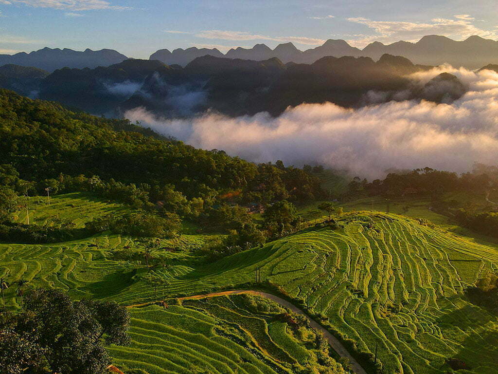 paddy-fields-in-pu-luong-nature-reserve