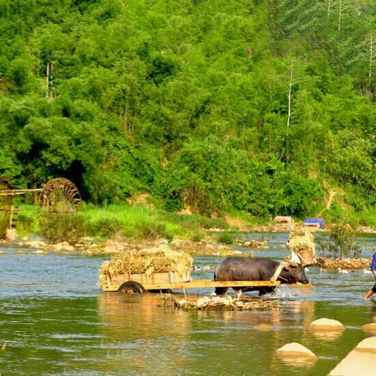 water-wheels-pu-luong-nature-reserve