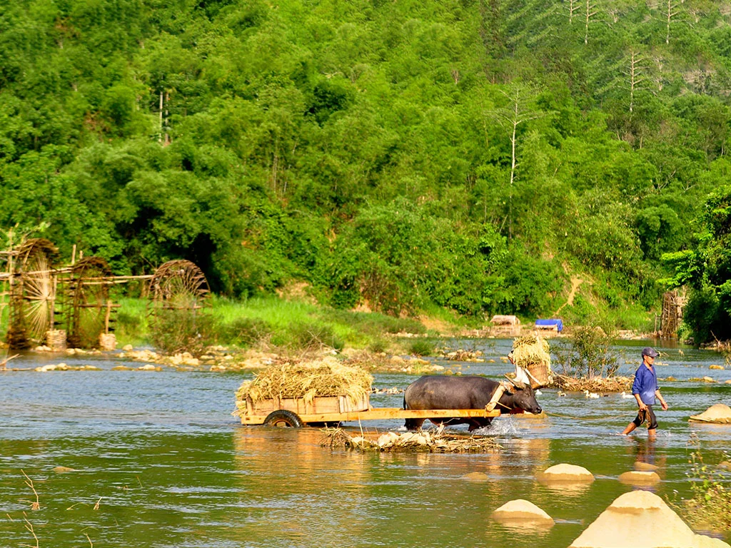 water-wheels-pu-luong-nature-reserve