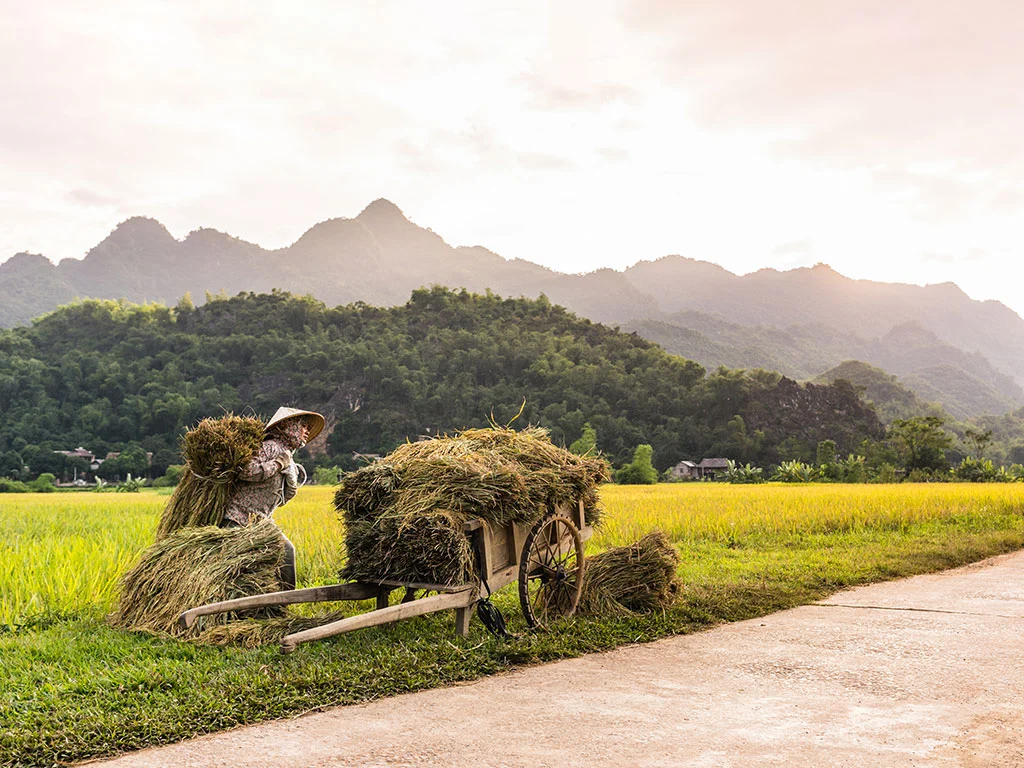 HANOI - MAI CHAU MOTORBIKE DAY TRIP lac-village-mai-chau-valley