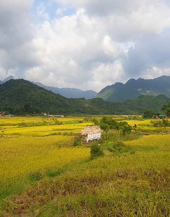 ONE DAY TOUR IN PU LUONG THANH HOA