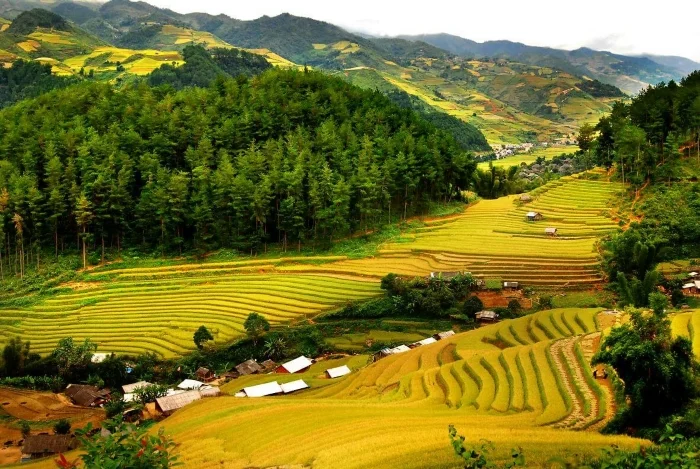 TOP 5 BEST PLACES FOR TREKKING IN VIETNAM TOP 5 BEST PLACES FOR TREKKING IN VIETNAM