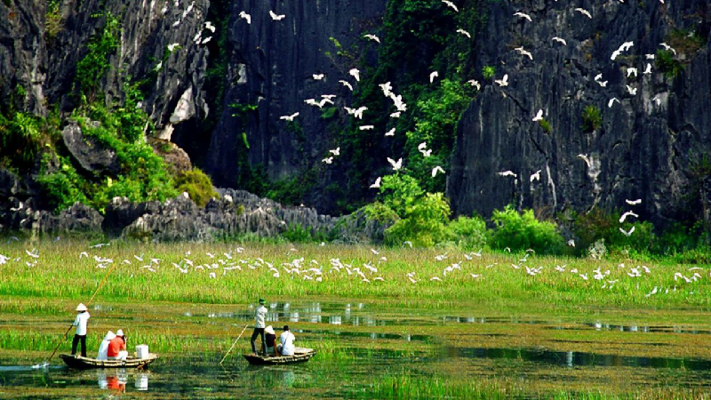 Thung Nham Bird Garden, Ninh Binh
