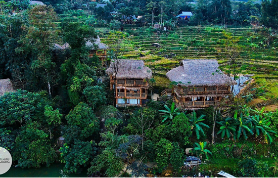 Top 12 best resorts in Pu Luong Nature Reserve