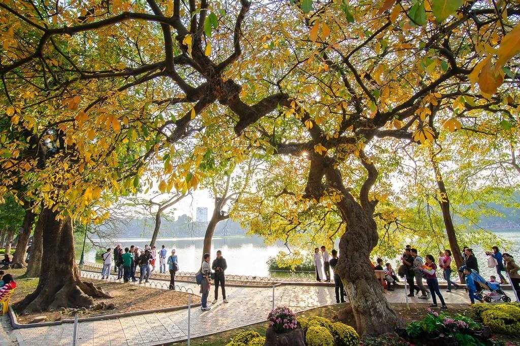 VIETNAM NOVEMBER: CLIMATE AND TOP 5 LOCATIONS SHOULD GO VIETNAM NOVEMBER CLIMATE AND TOP 5 LOCATIONS SHOULD GO