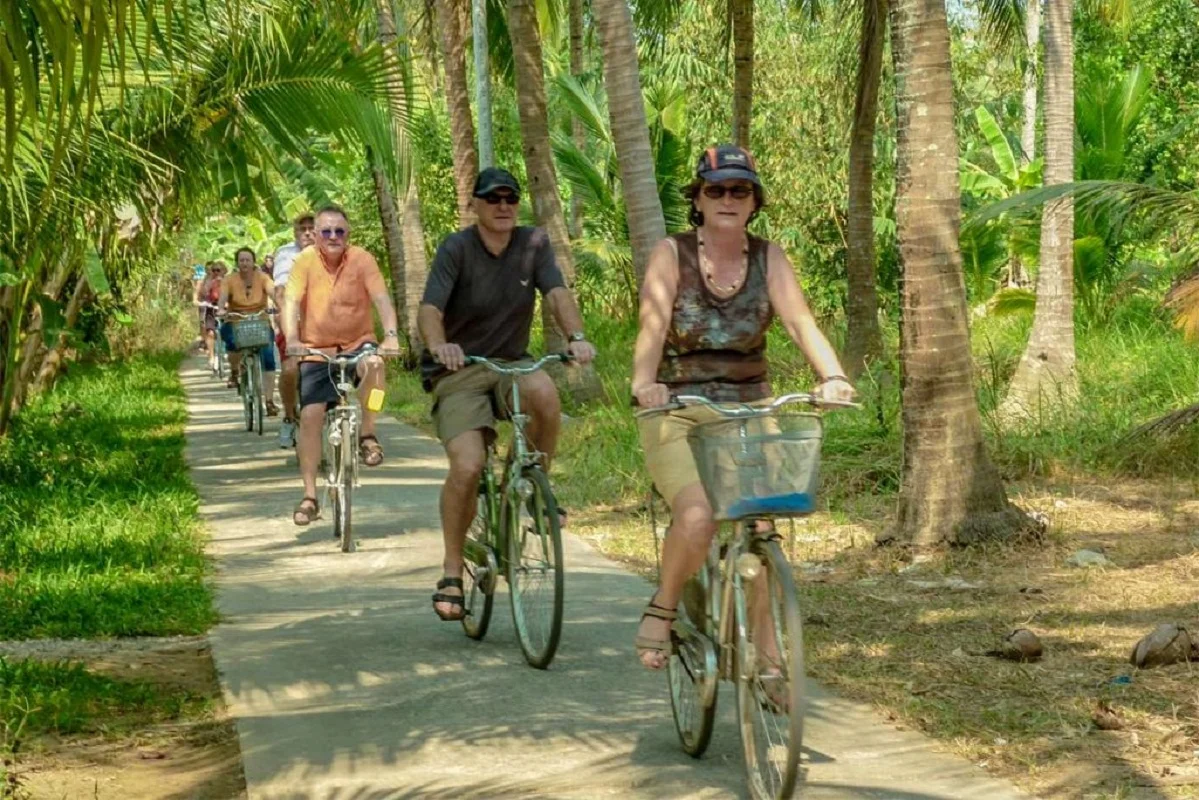 Biking tour under palm line