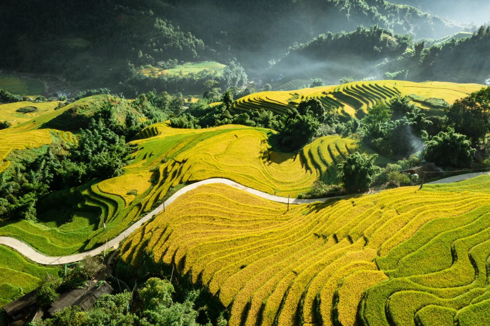 Top the best destinations in a week in Vietnam Terrace field in Sapa Vietnam
