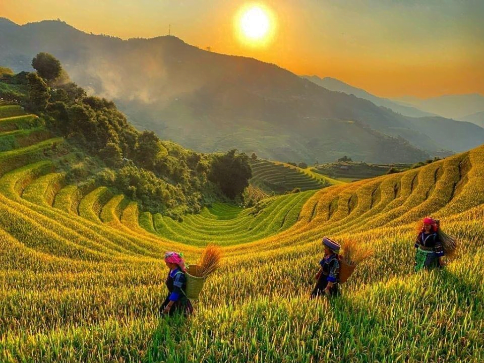 Terrace fields in Pu Luong, Northern Vietnam