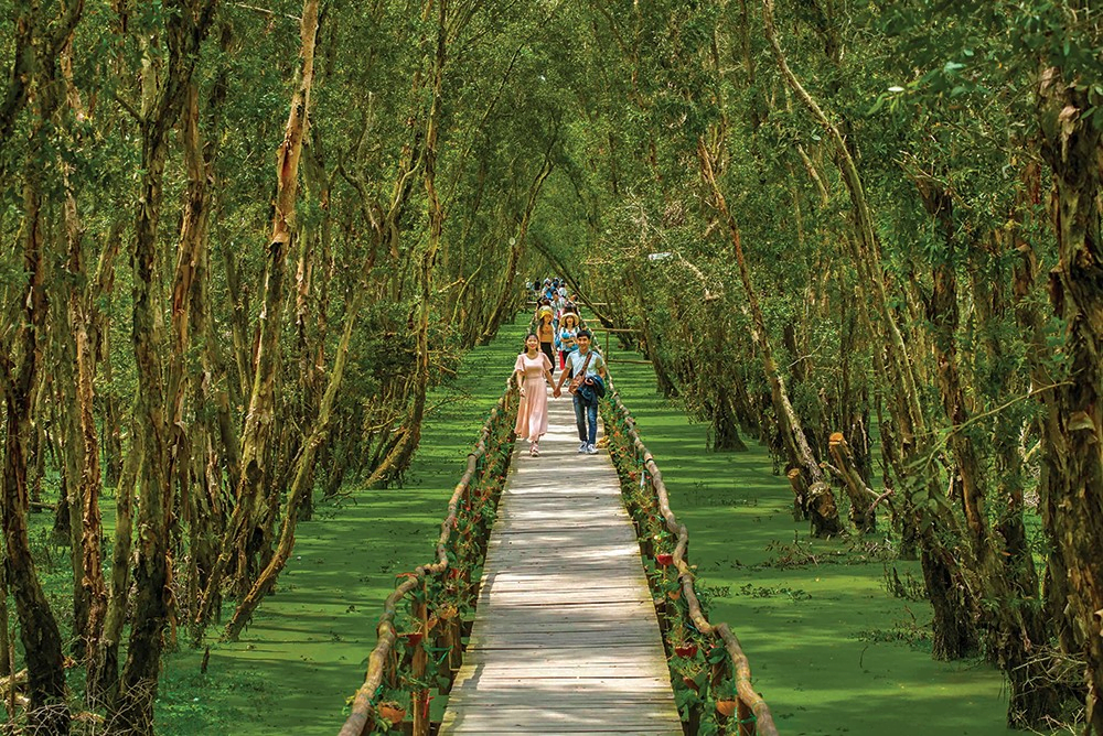Tra Su Melaleuca Forest, An Giang Province