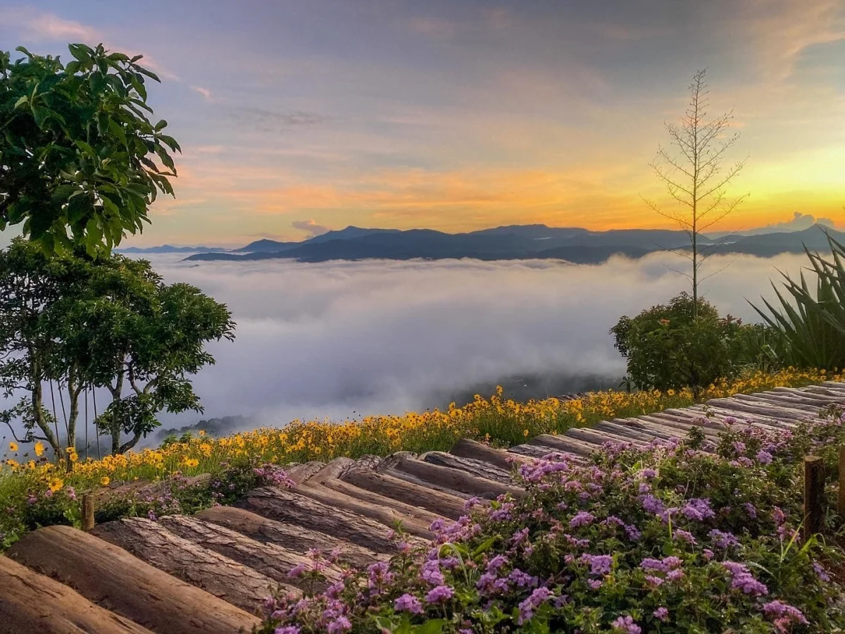 Da Lat - The city of love