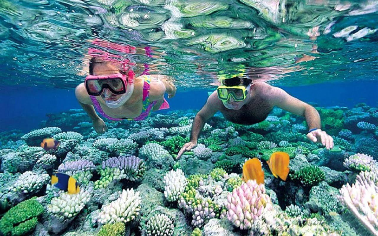 Snorkeling tour to see corals in Phu Quoc beach, Vietnam