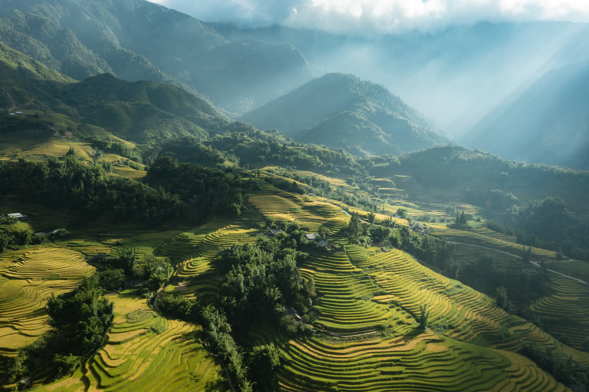 Sapa Sapa