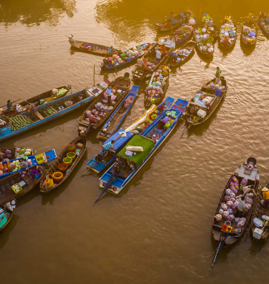 Mekong Delta