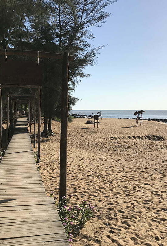 du lịch Bãi Đông Thanh Hóa