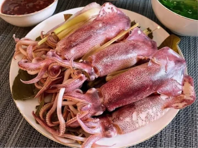 Mực Nhảy Vũng Áng Hà Tĩnh Mực Nhảy Vũng Áng Hà Tĩnh