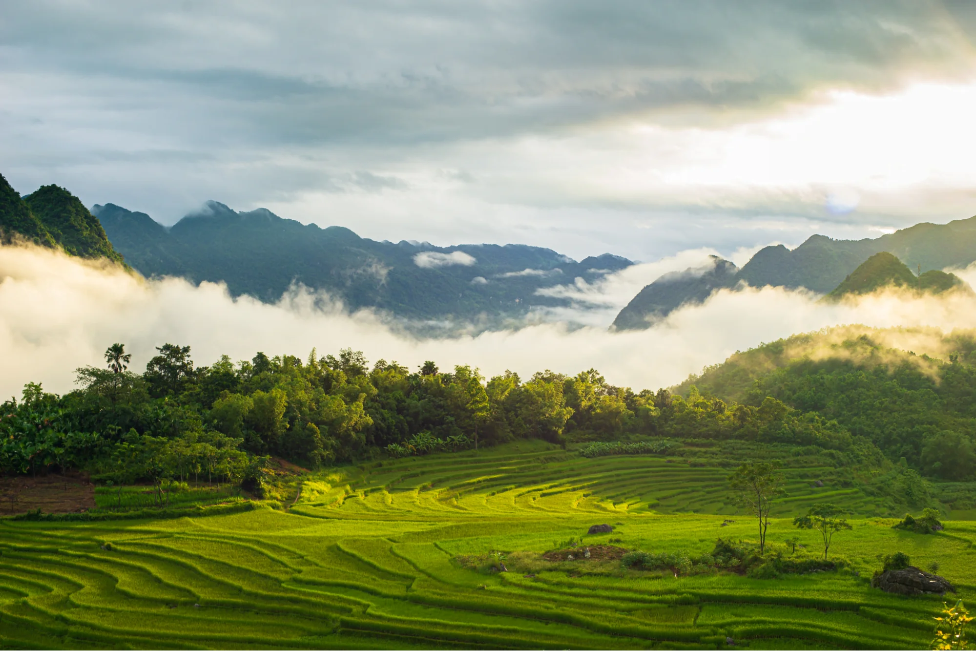 Khu bảo tồn thiên nhiên Pù Luông Thanh Hóa Khu bảo tồn thiên nhiên Pù Luông Thanh Hóa