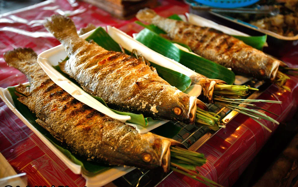 Cá suối nướng bản Hiêu Cá suối nướng bản Hiêu