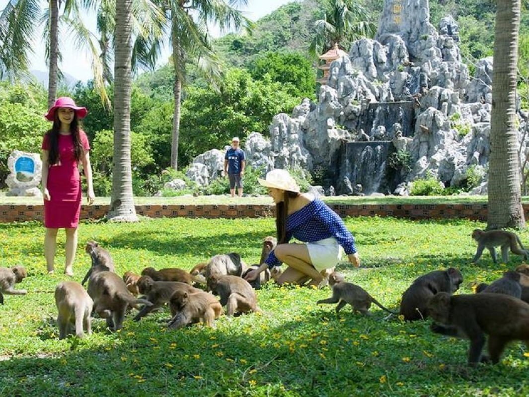 Đảo khỉ- một điểm đến sinh thái tại Nha Trang