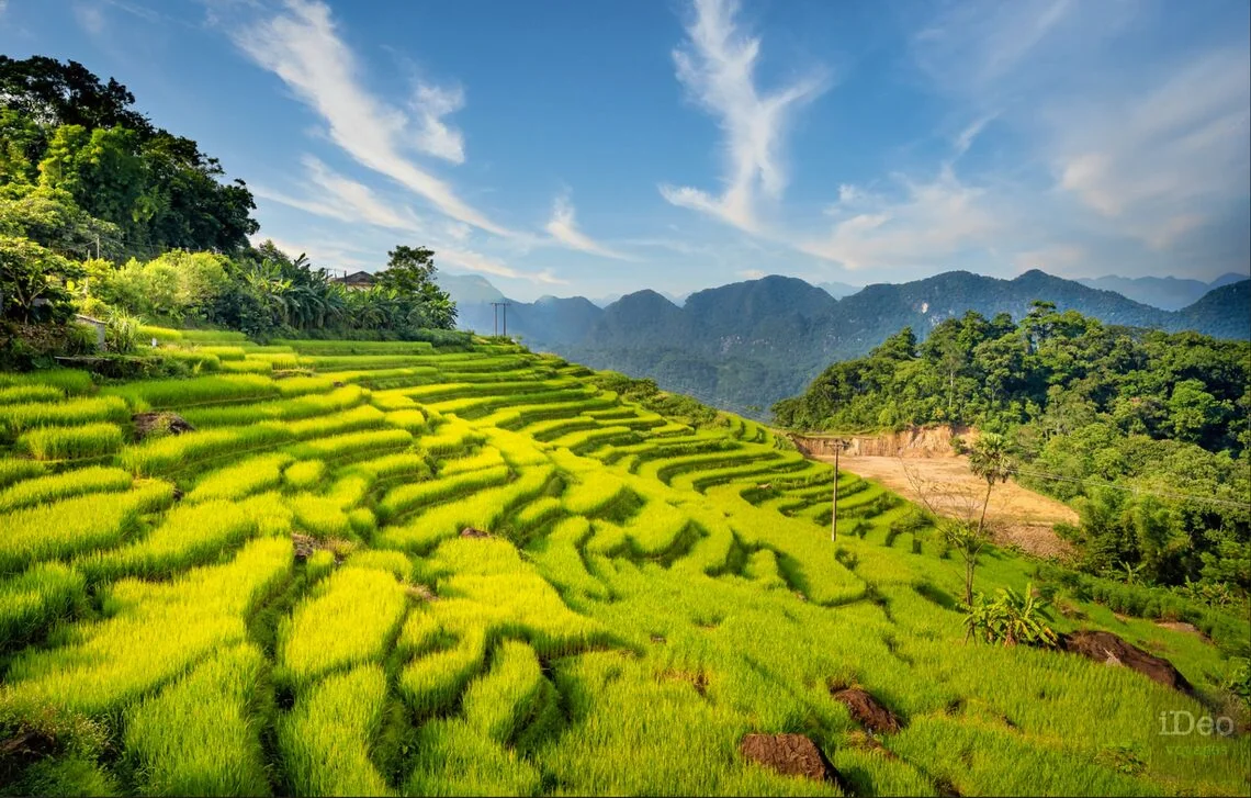 Pù Luông Thanh Hóa Pù Luông Thanh Hóa