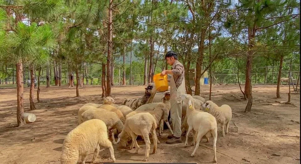 Vườn Thú Zoodoo Đà Lạt