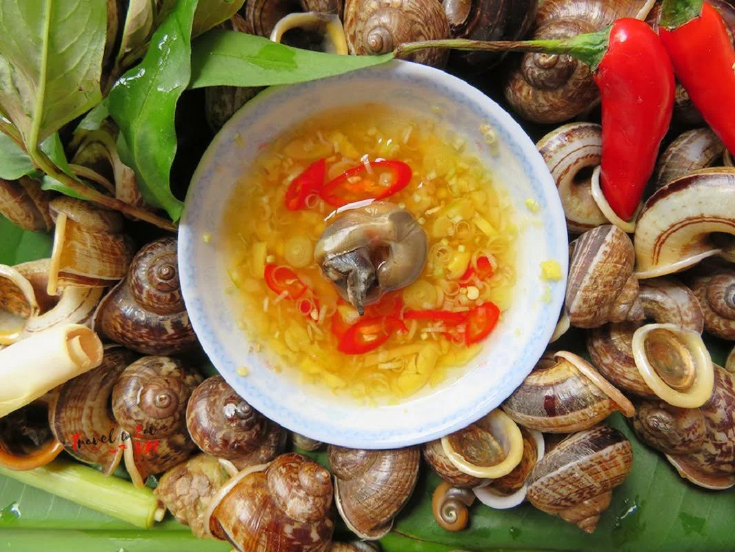 Ốc núi đặc sản Ninh Bình