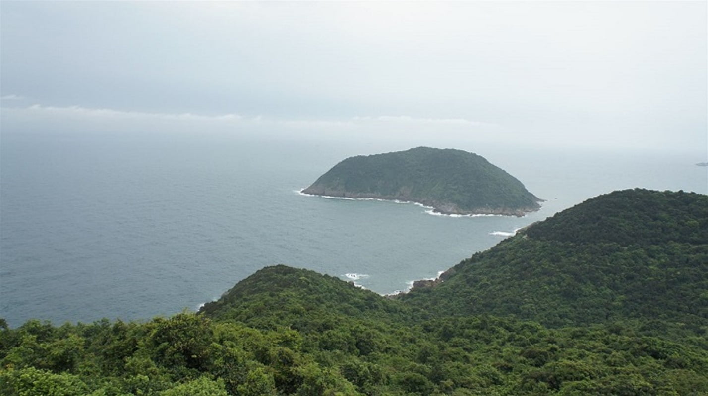 Đảo Hòn Mê là đảo duy nhất có rừng và động vật hoang dã