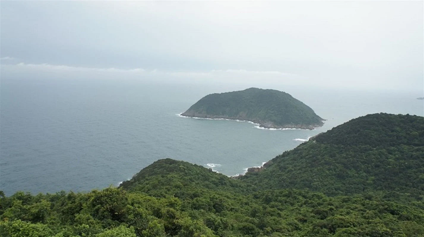 Đảo Hòn Mê là đảo duy nhất có rừng và động vật hoang dã Đảo Hòn Mê là đảo duy nhất có rừng và động vật hoang dã