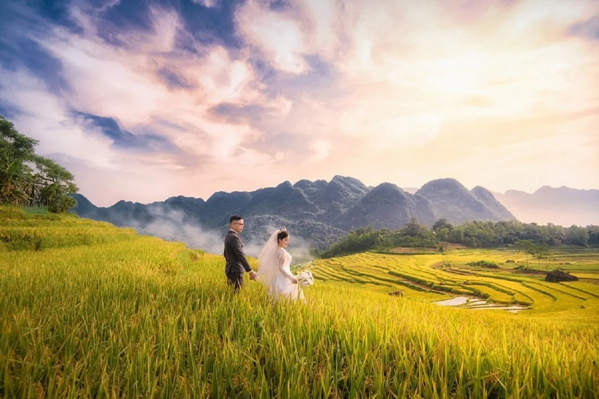 Những thửa ruộng bậc thang vào mùa lúa chín