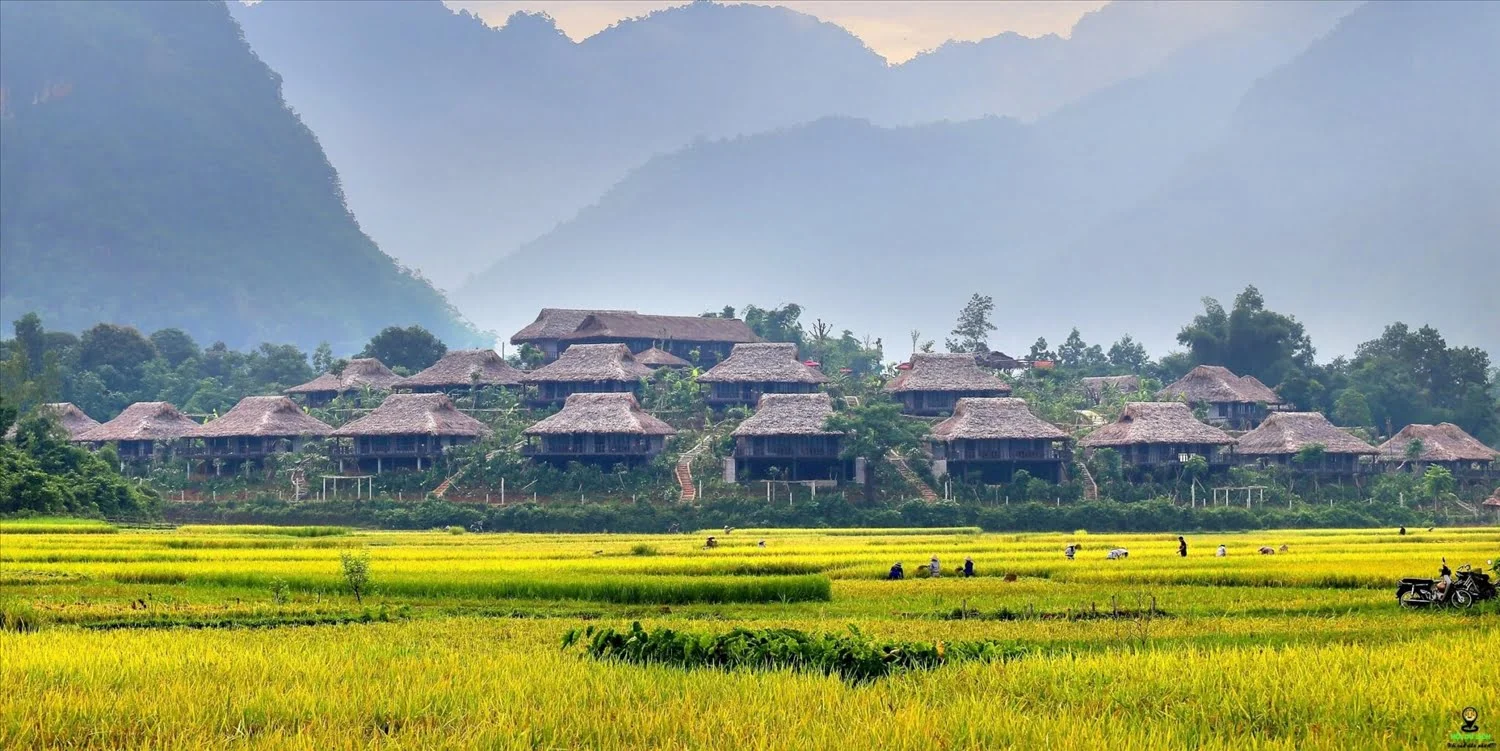 Thời điểm thích hợp để du lịch Mai Châu là khi nào? Thời điểm thích hợp để du lịch Mai Châu là khi nào?