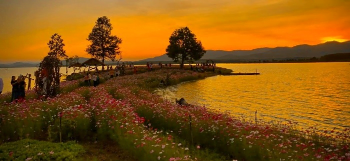 Vườn hoa bờ sông Đăk Bla Kon Tum