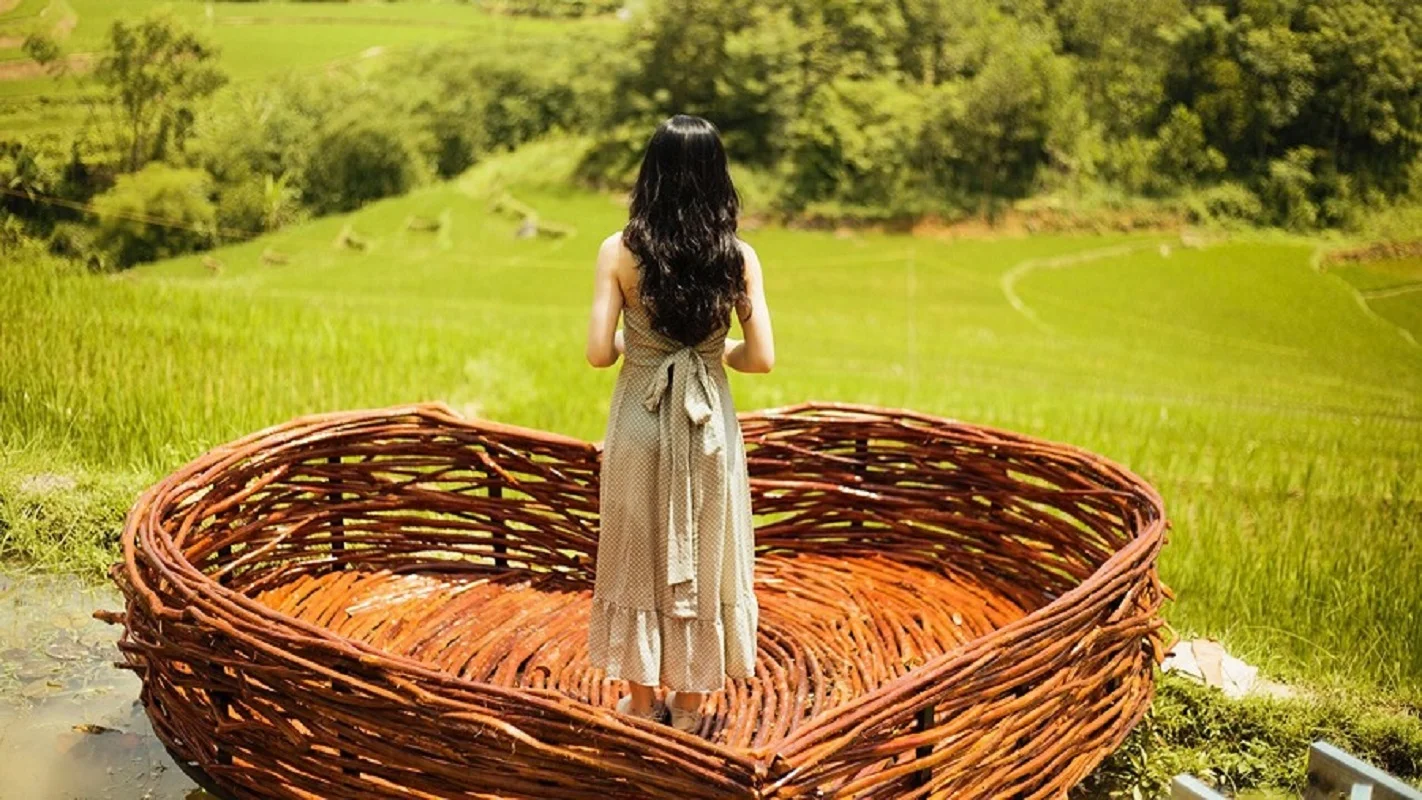 Trái tim mùa thu cực thơ giữa cánh đồng lúa 