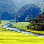 ninh-binh-rice-paddy