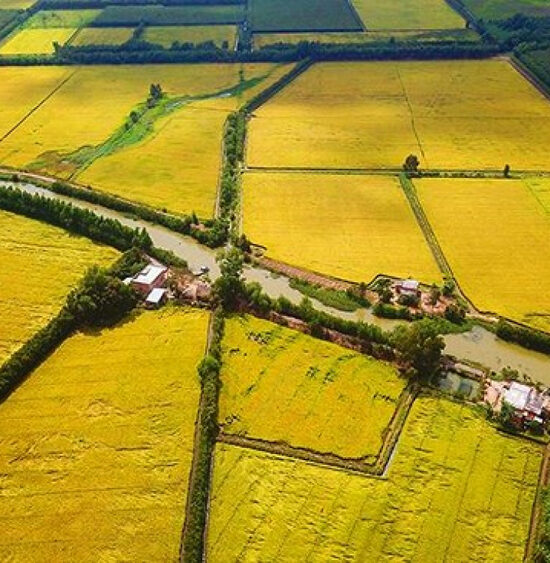 Khu du lịch Cánh đồng bất tận