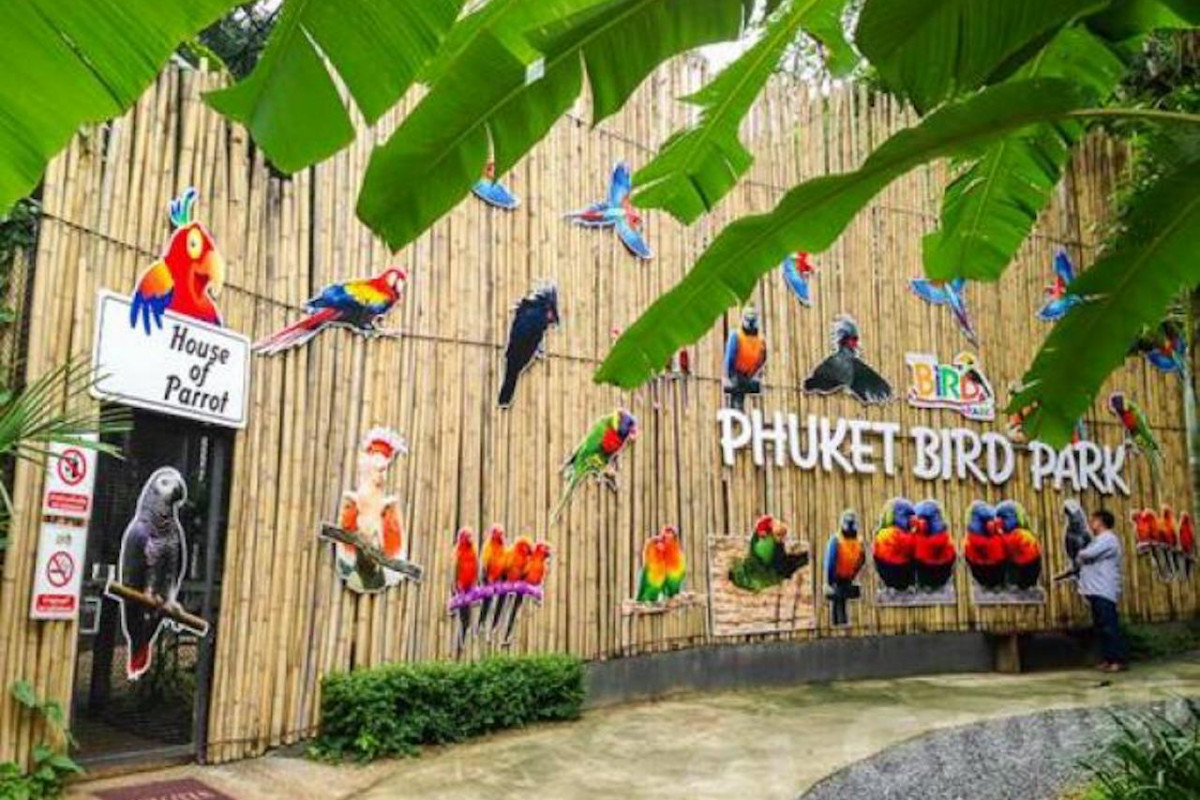 Công viên chim Phuket, một trong những địa điểm du lịch hot của Thái Lan