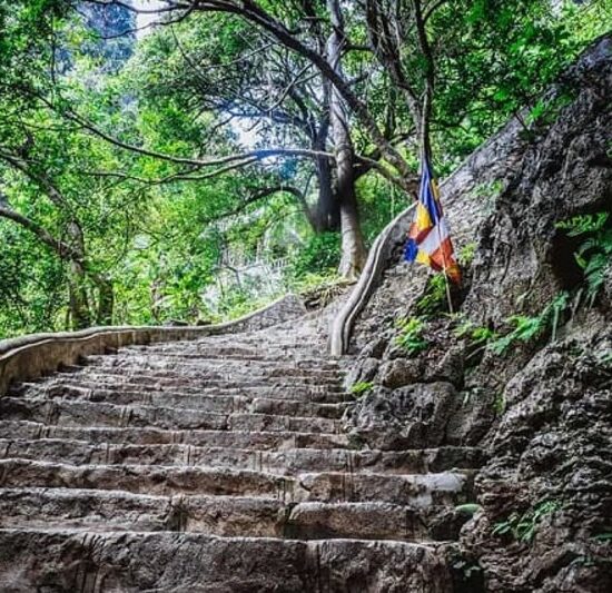 Kinh nghiệm khi du lịch Tuyệt Tình Cốc Ninh Bình