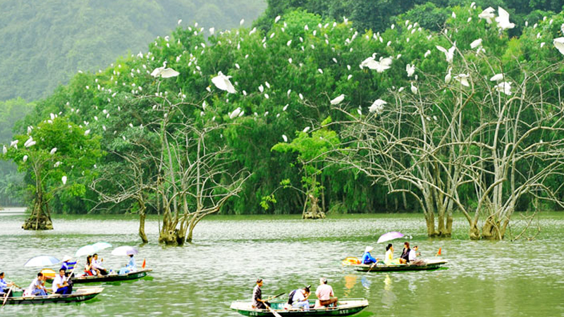 Thời điểm thích hợp để ghé thăm khu du lịch sinh thái Thung Nham Ninh Bình là khi nào?