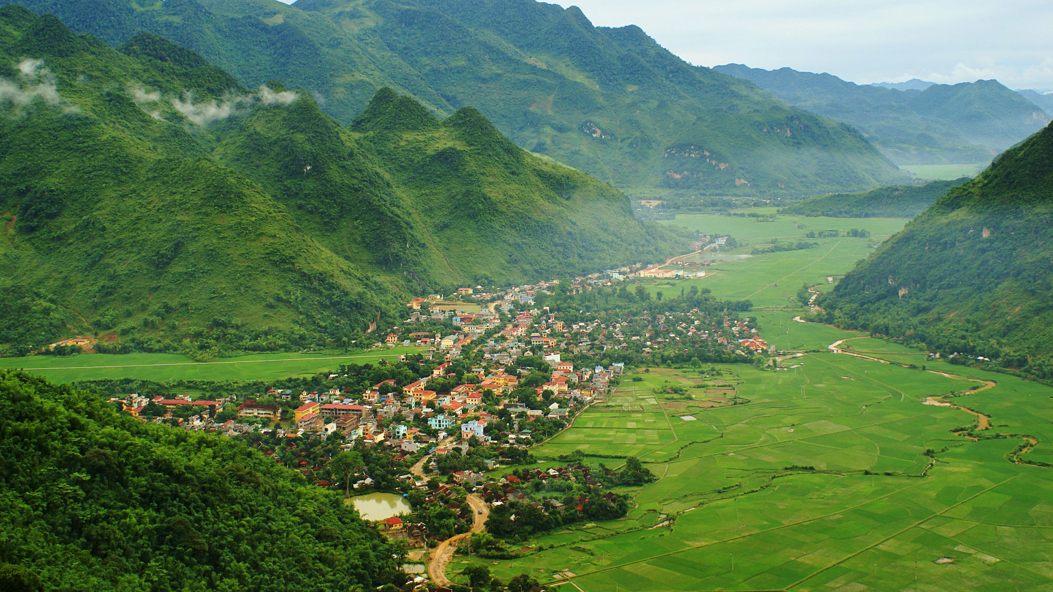 Image Alt