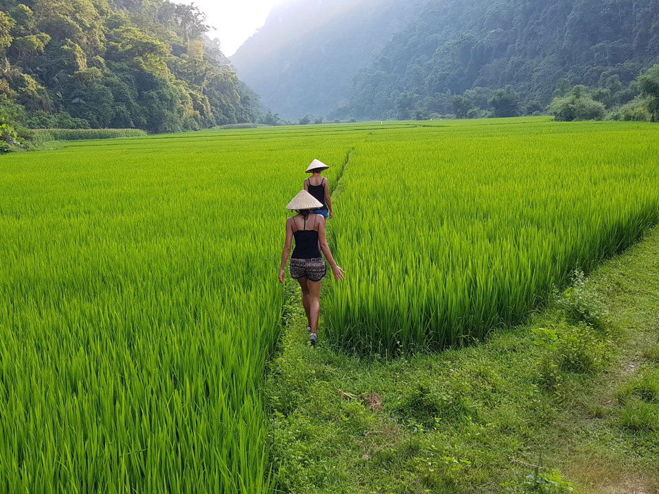 Unlock the Wonders of Vietnam: Your Dream Vietnam Tour Package Awaits! mai chau tour