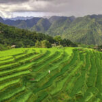 best travel agency for vietnam