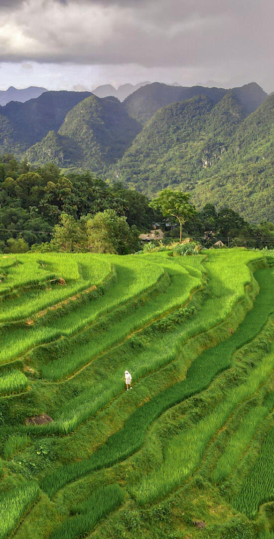 best travel agency for vietnam