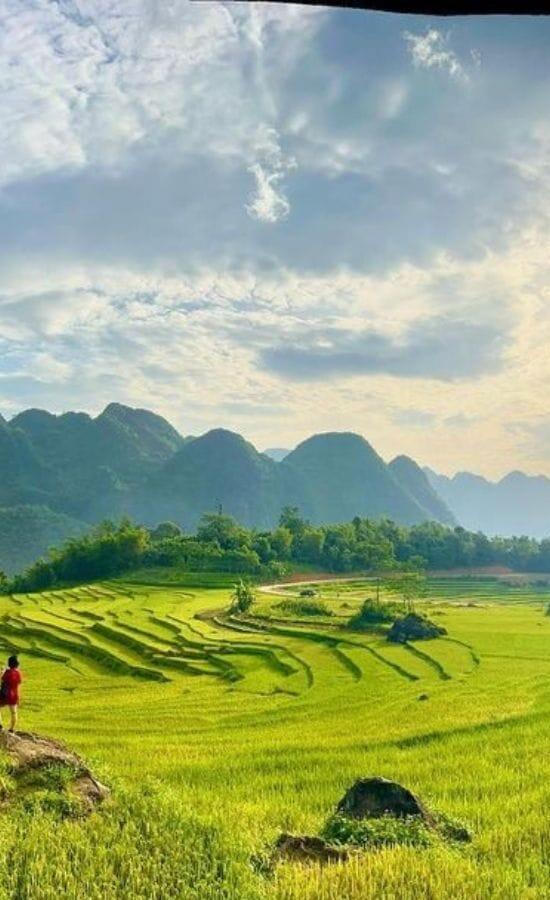 best trip to vietnam
