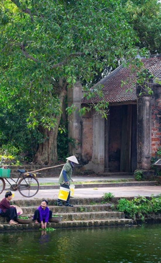 day tours from hanoi