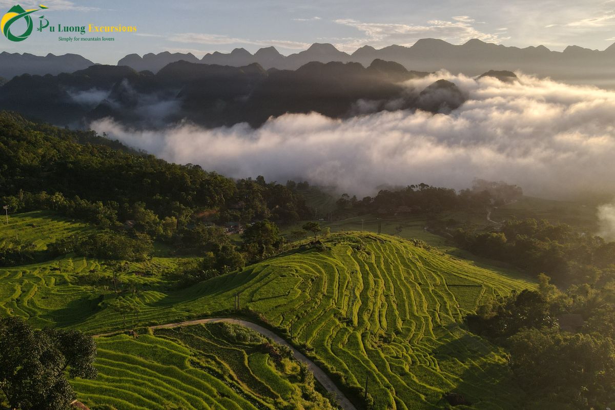 Pu Luong Trekking Altitude – What Travelers Need to Know Pu Luong