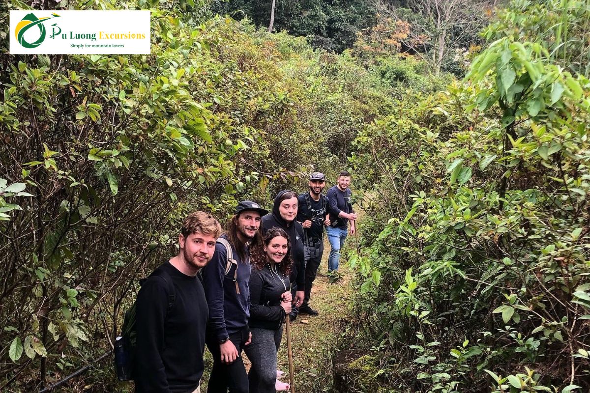 Pu Luong Trekking Guide: Discovering Exciting Wild Trails The Best Time to Trek in Pu Luong