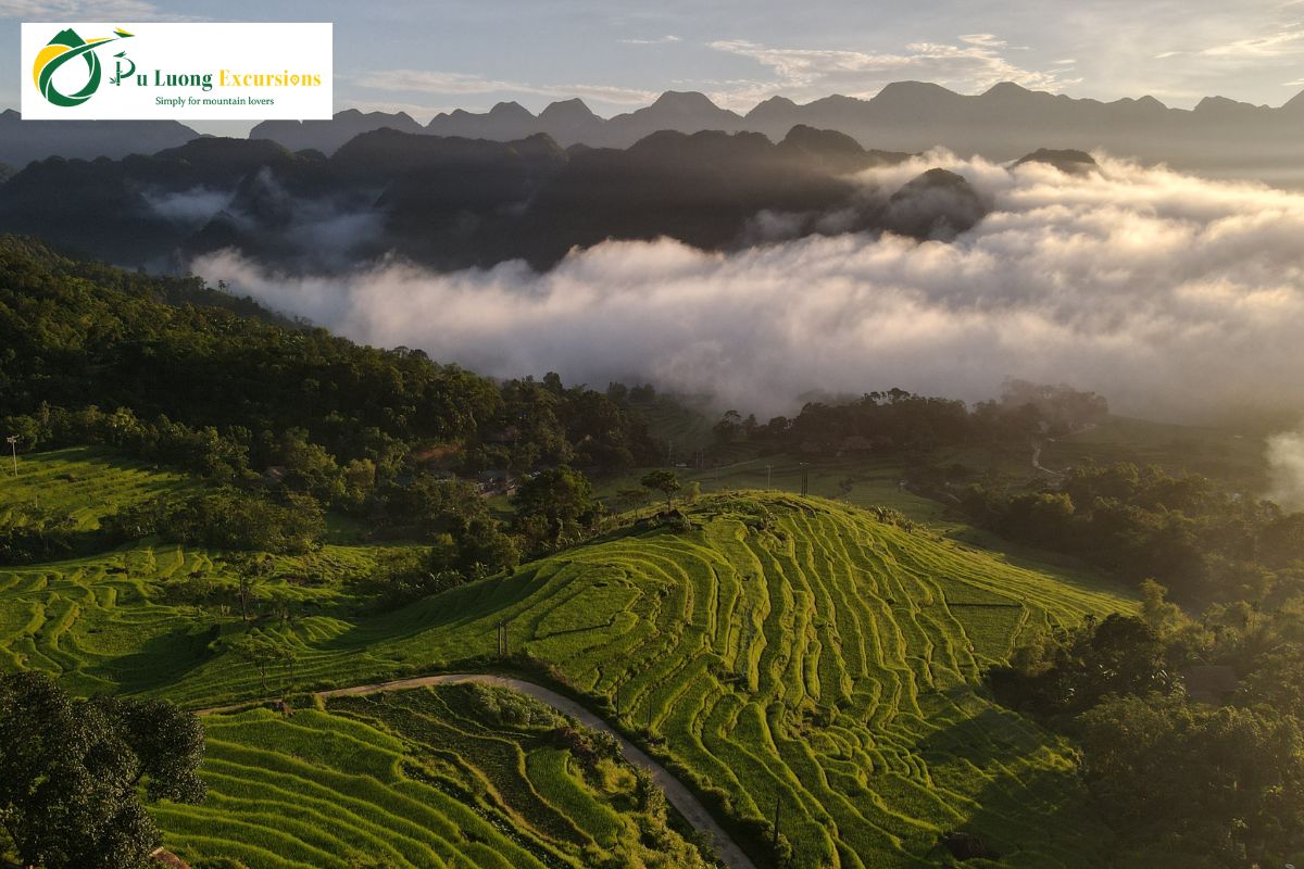 Pu Luong Trekking Guide: Discovering Exciting Wild Trails puluong 3