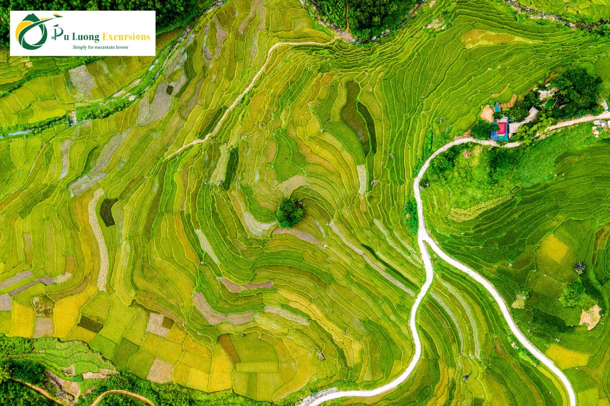Understanding the Pu Luong Trekking Difficulty for Every Hiker About the terrain in Pu Luong